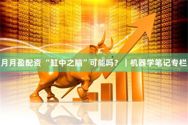 月月盈配资 “缸中之脑”可能吗？｜机器学笔记专栏