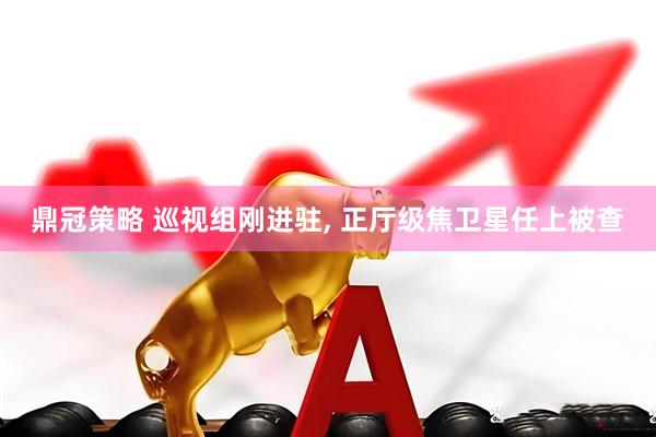 鼎冠策略 巡视组刚进驻, 正厅级焦卫星任上被查