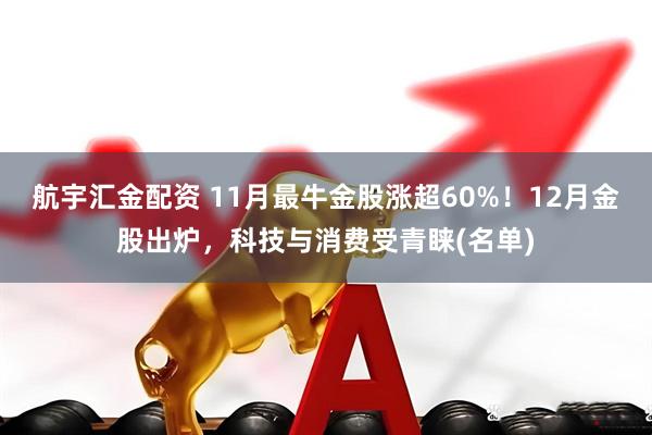 航宇汇金配资 11月最牛金股涨超60%!12月金股出炉,科技与消费受青睐(名单)